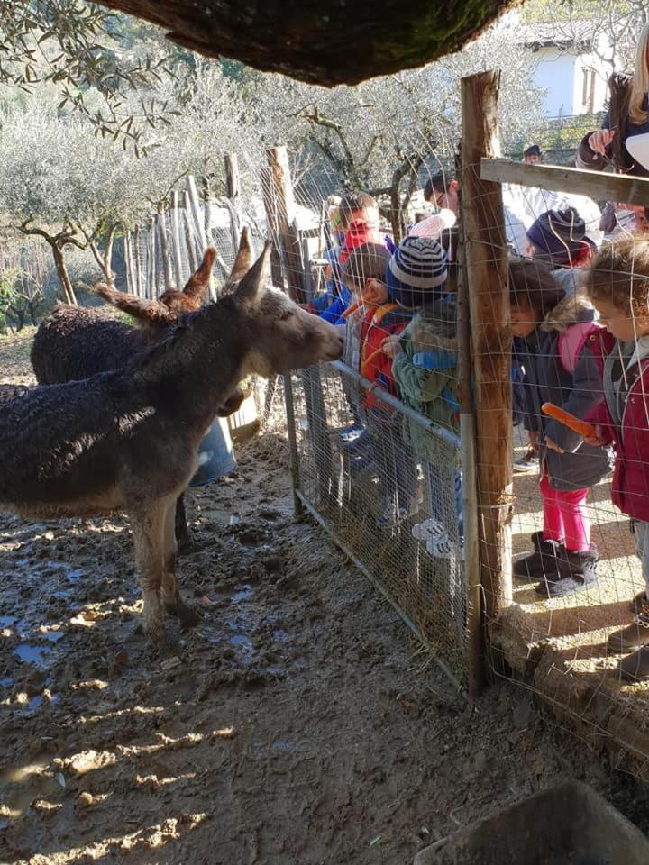 Tenuta Martino Aquara Eksteriør bilde