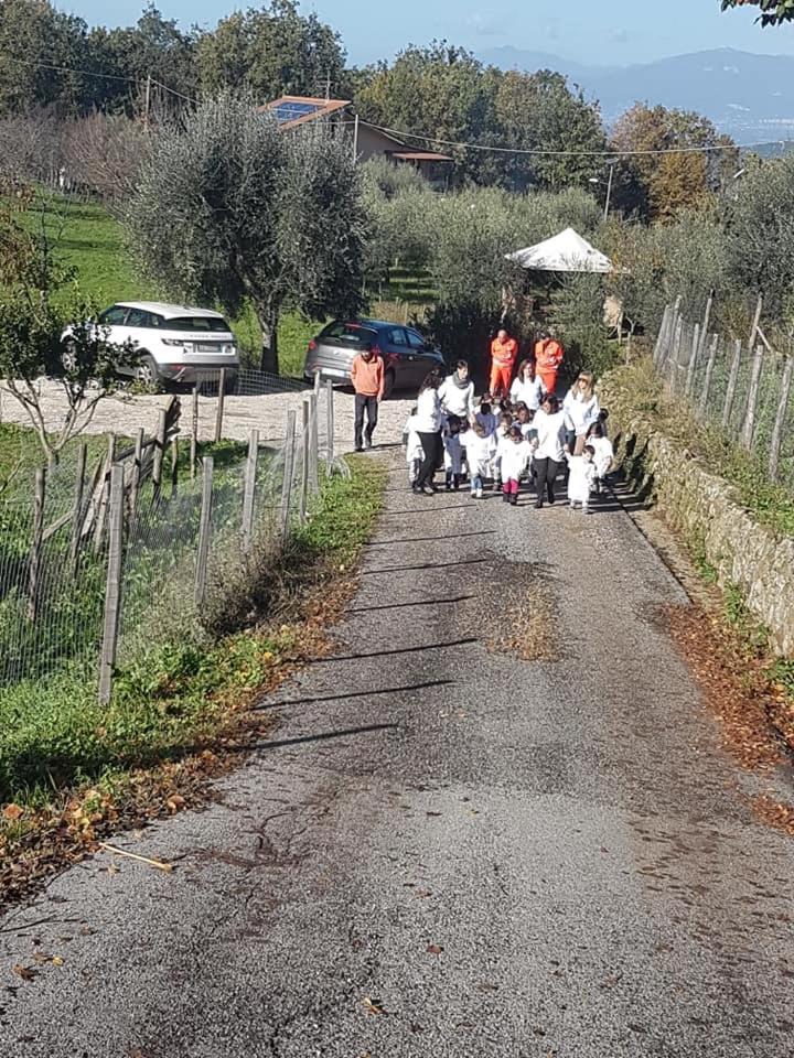 Tenuta Martino Aquara Eksteriør bilde